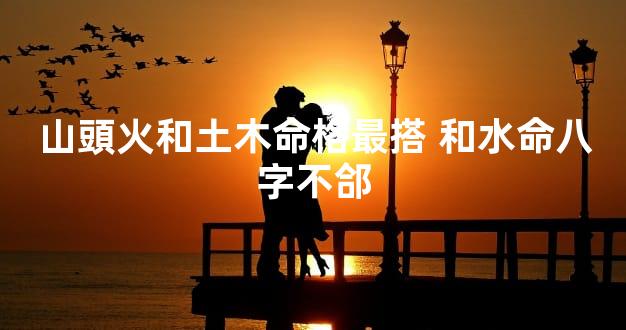 山頭火和土木命格最搭 和水命八字不郃